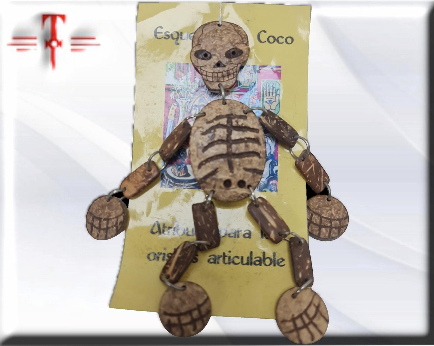 Esqueleto de Coco Oduduwa Ifá Santeria Palo Mayombe babalawo