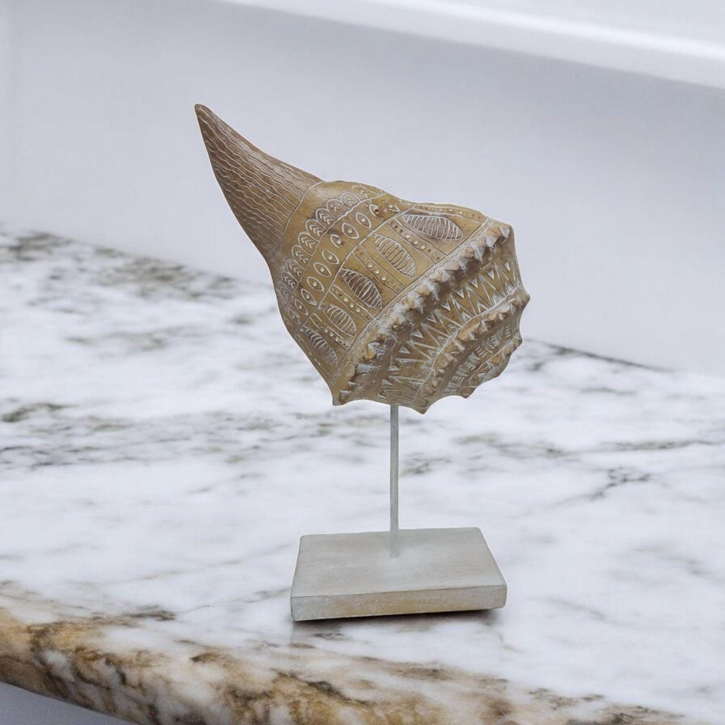 Carved Seashell Mystical Home Decor