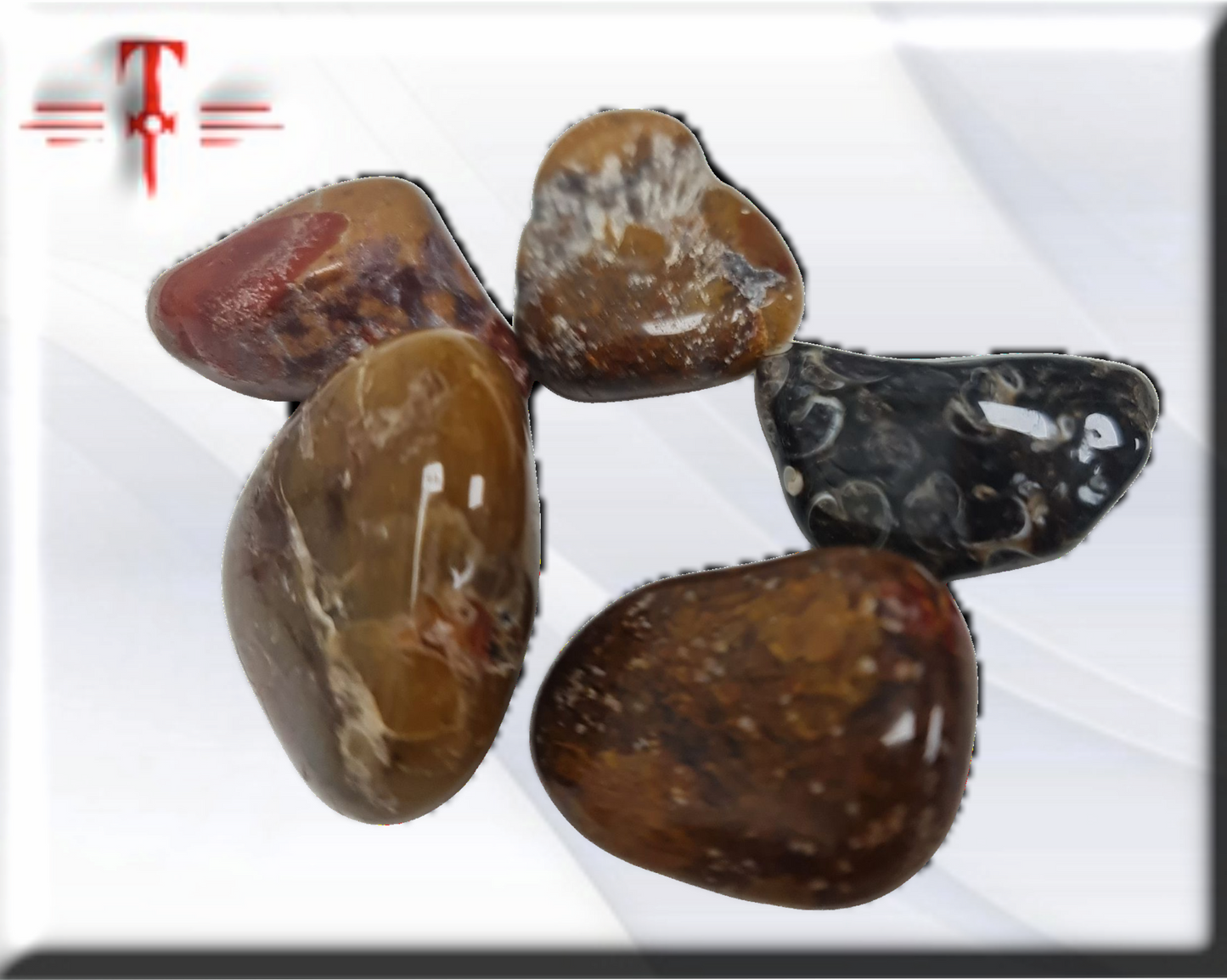 Jasper Conglomerado