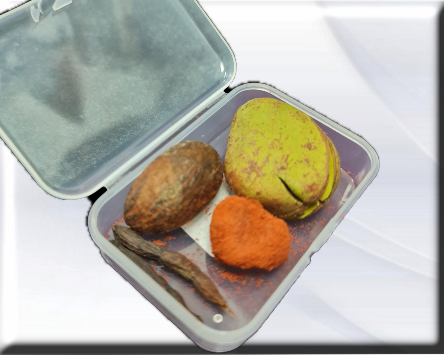 Aché de Santo , kola, Ero, Obi, Osun
