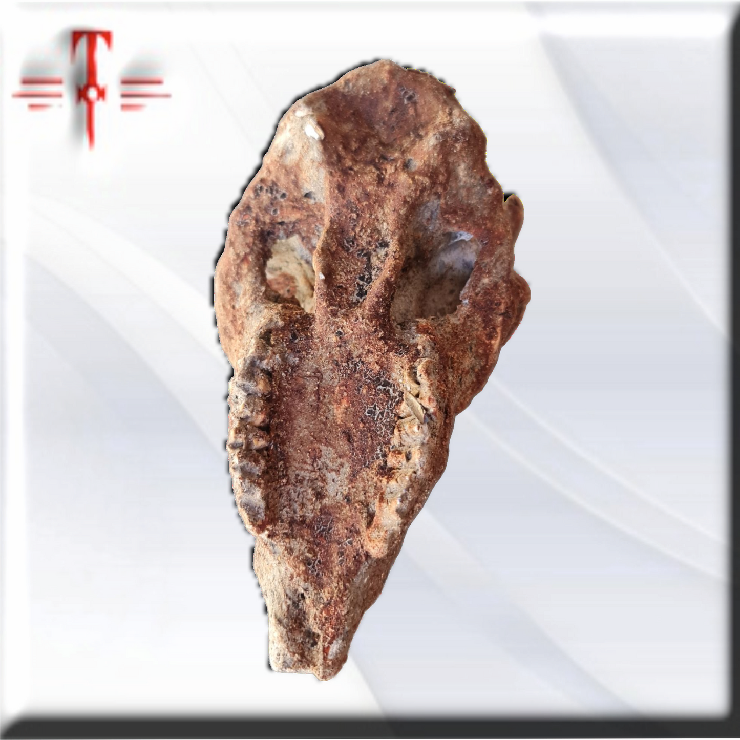 Fetiche Vudu , para hacer magia negra , secretos del Vodoun africano , arte africano