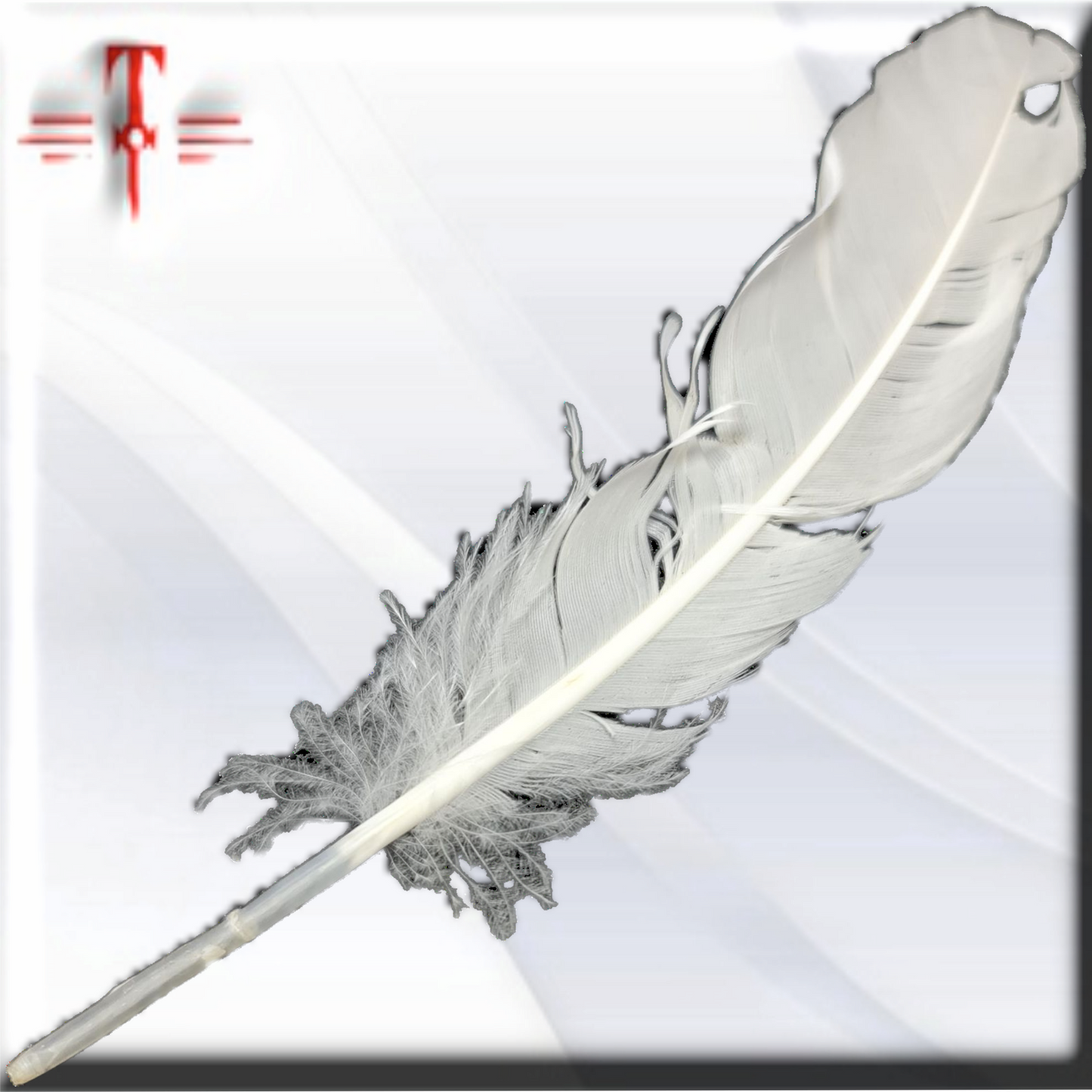 pluma Blanca