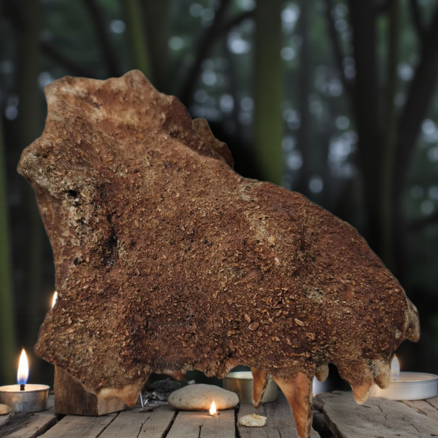 Olugbohun-Kraftfetisch, afrikanisches Amulett, Geheimnisse von Vodun