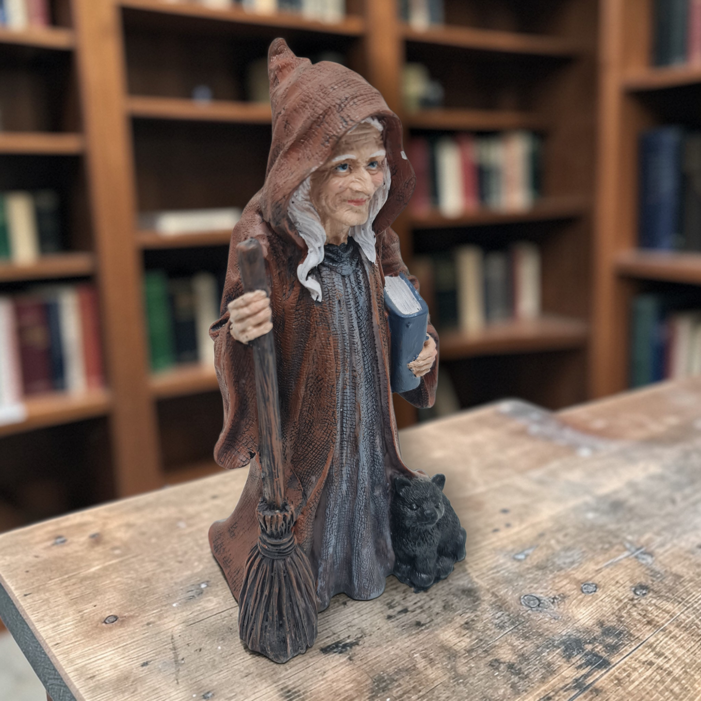 Bruja Wicca con escoba, gato y libro