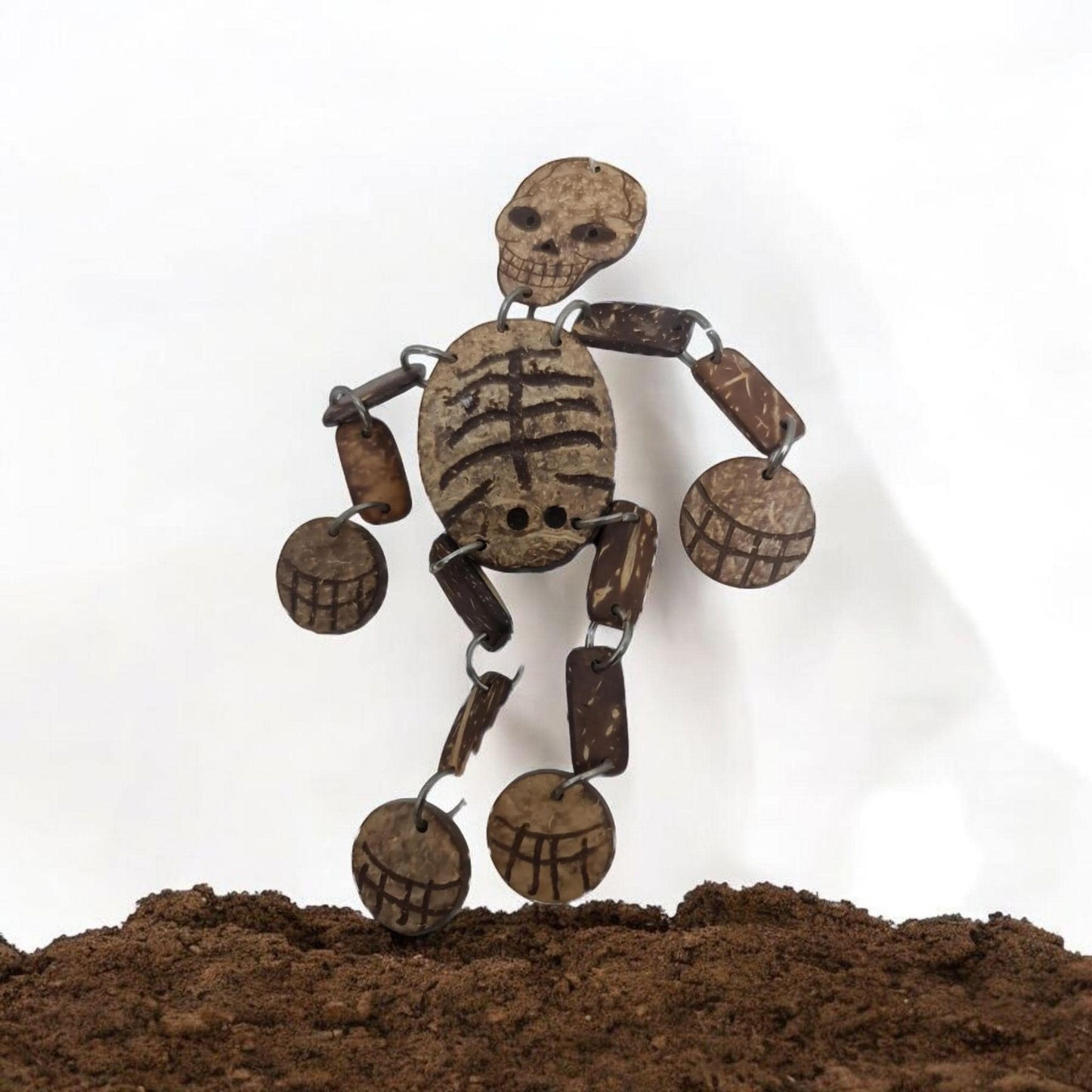 Esqueleto de Coco Oduduwa Ifá Santeria Palo Mayombe babalawo