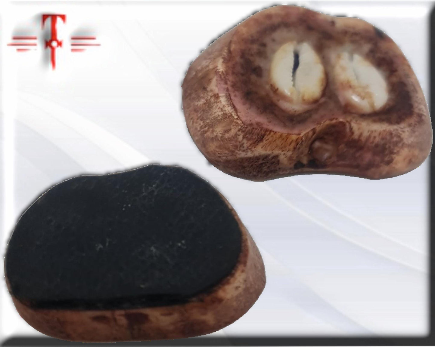 Proteccion contra peleas , producto original de Benin