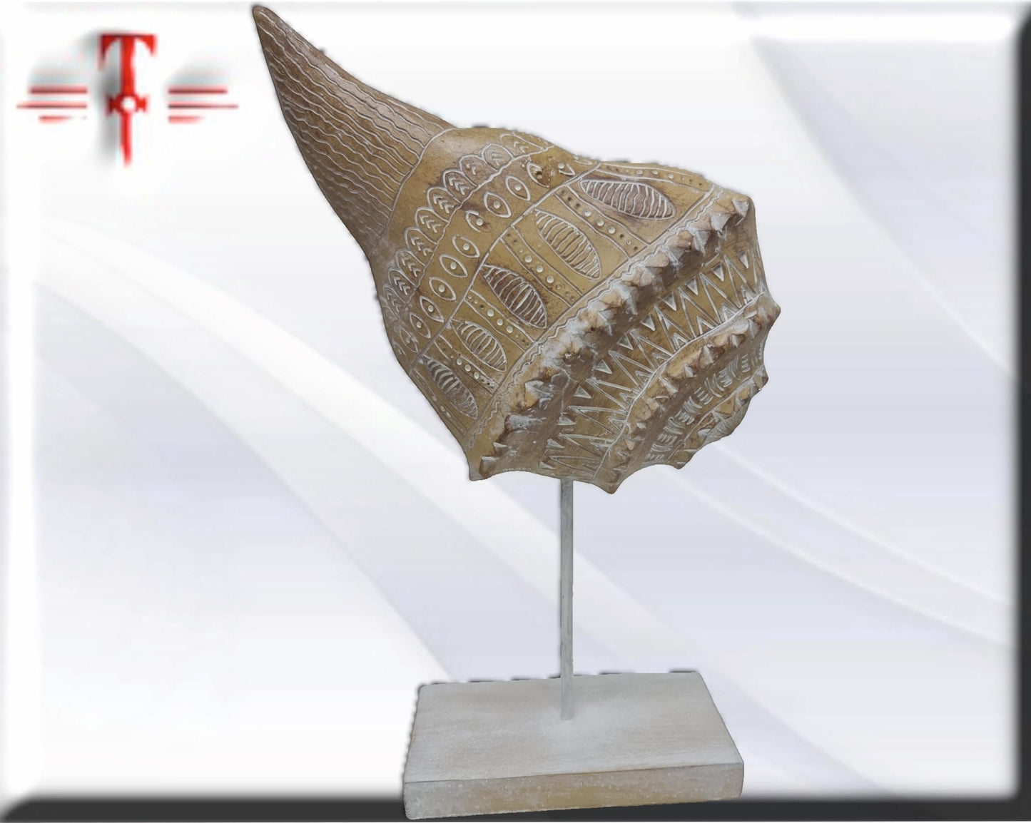 Carved Seashell Mystical Home Decor