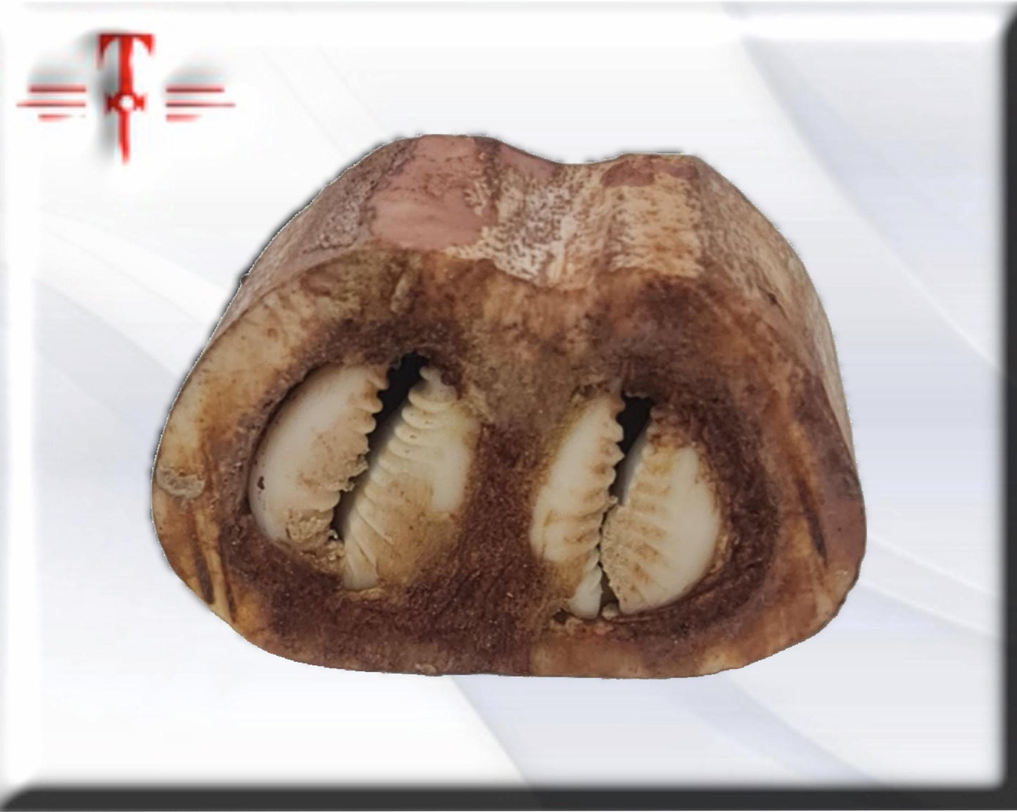 Amuleto contra envidia y discusiones , producto original de Benin