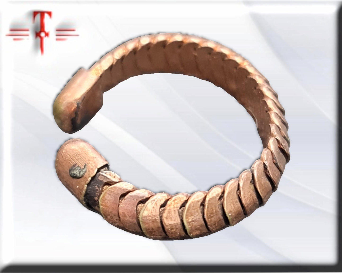 Anillo de protección y dinero , Vodun Adjakpa Koliko , espíritu del cocodrilo, Vodoun Fon de Benín