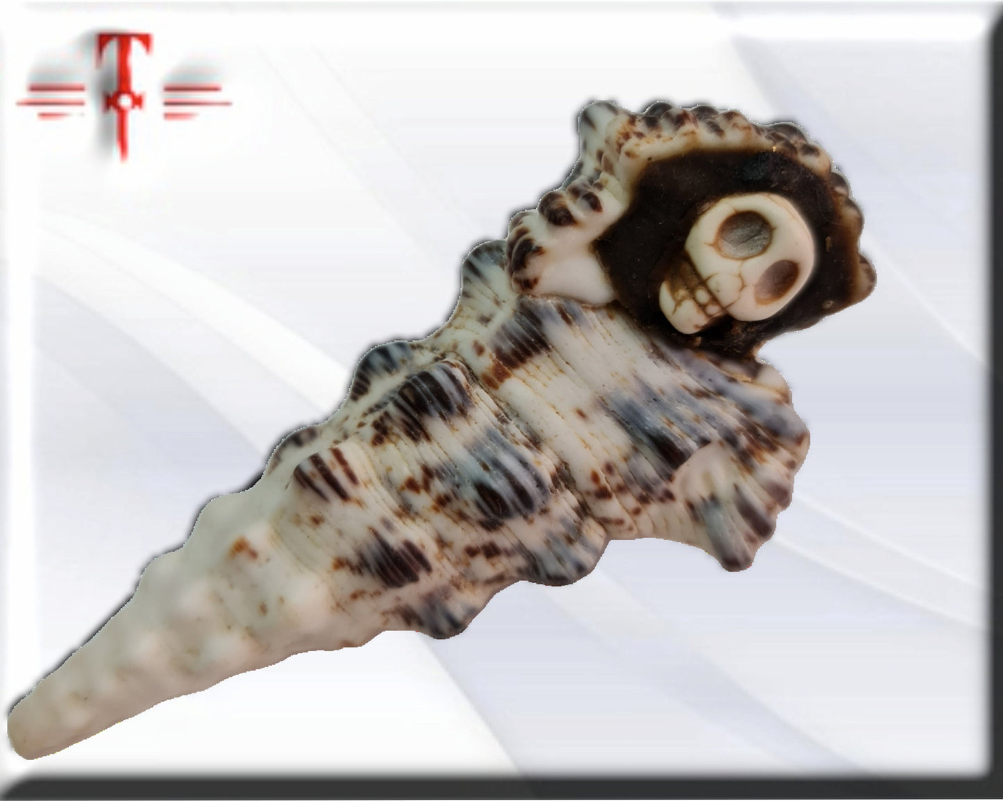 Protección espanta espíritus , amuleto africano , artesanal