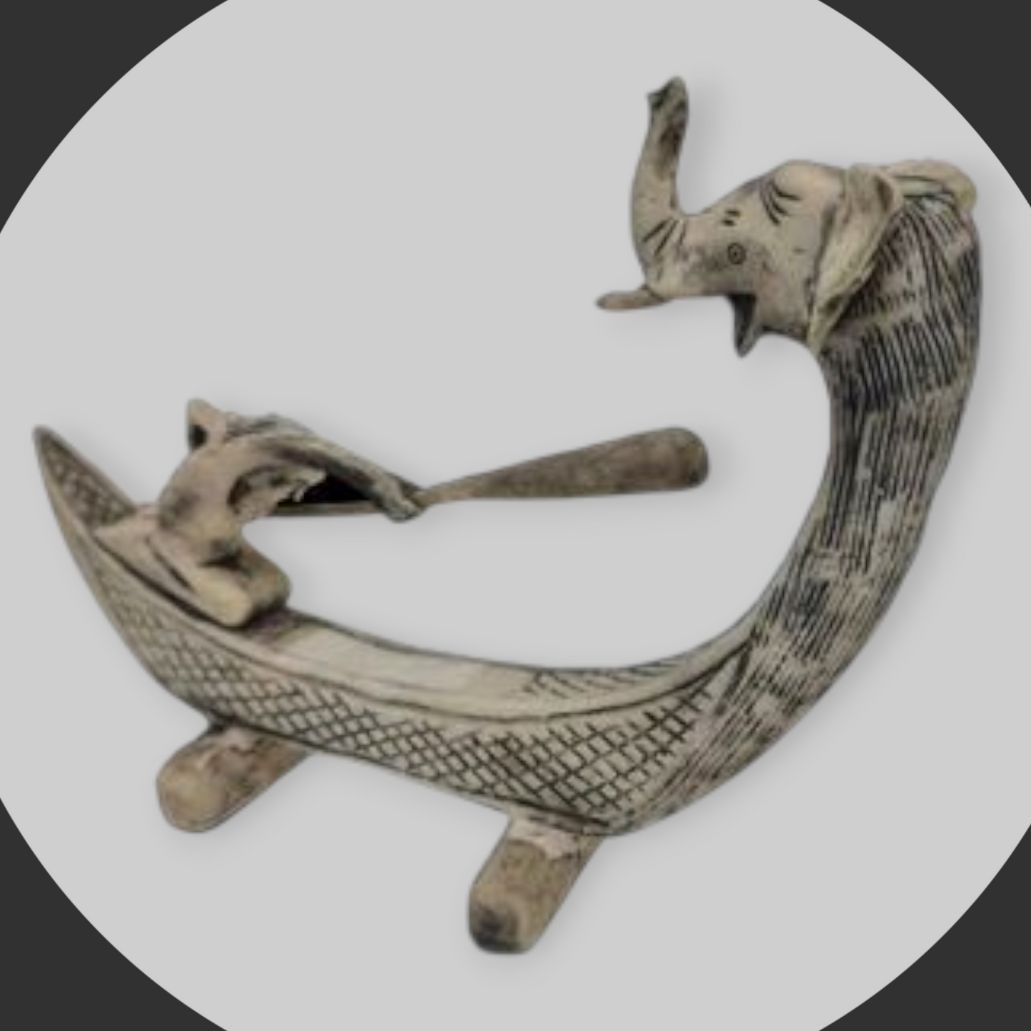 Canoa elefantes