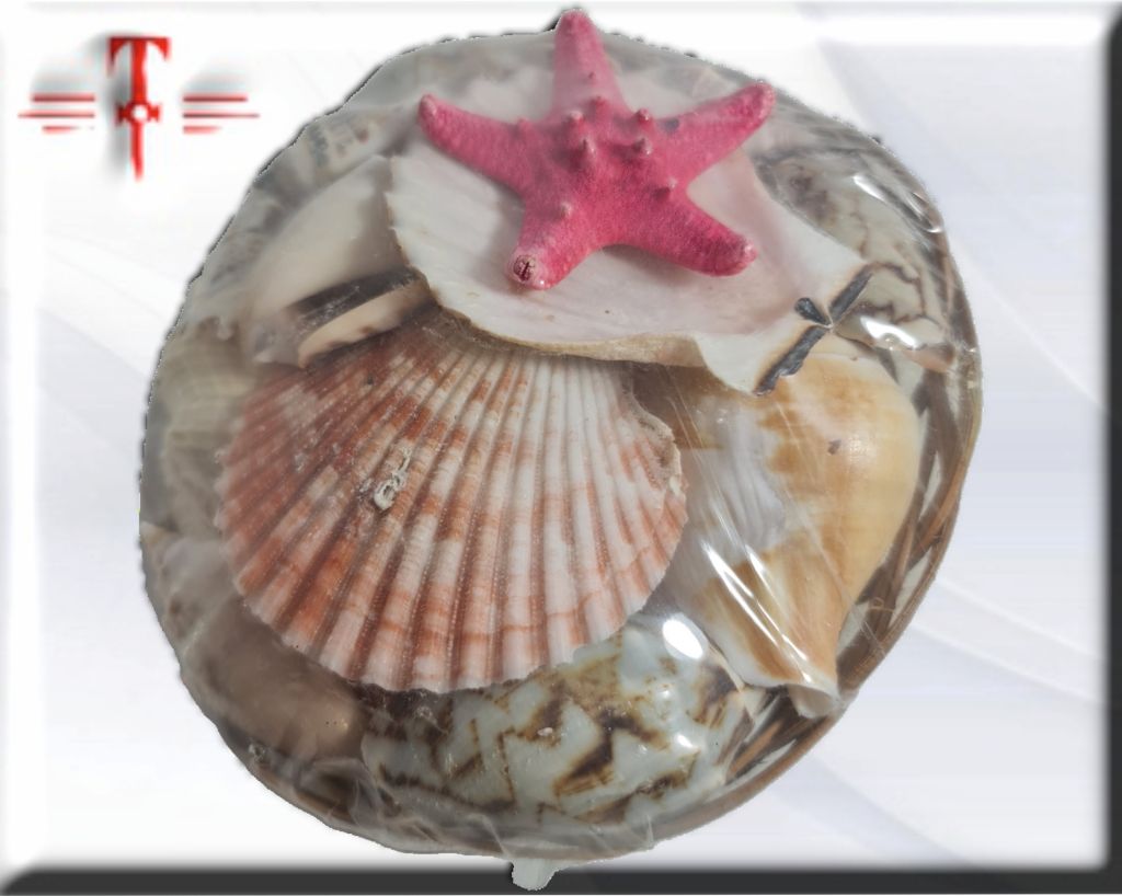 Surtido de conchas 250gr