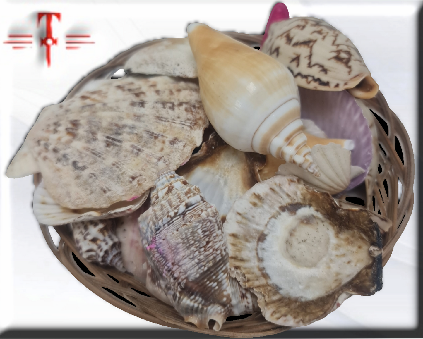 Surtido de conchas 250gr