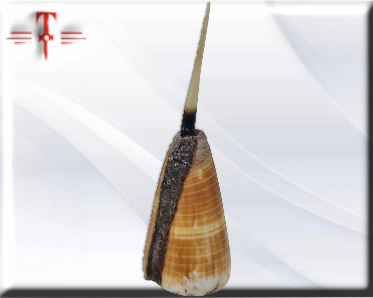 Proteccion para casas, producto original de Benin