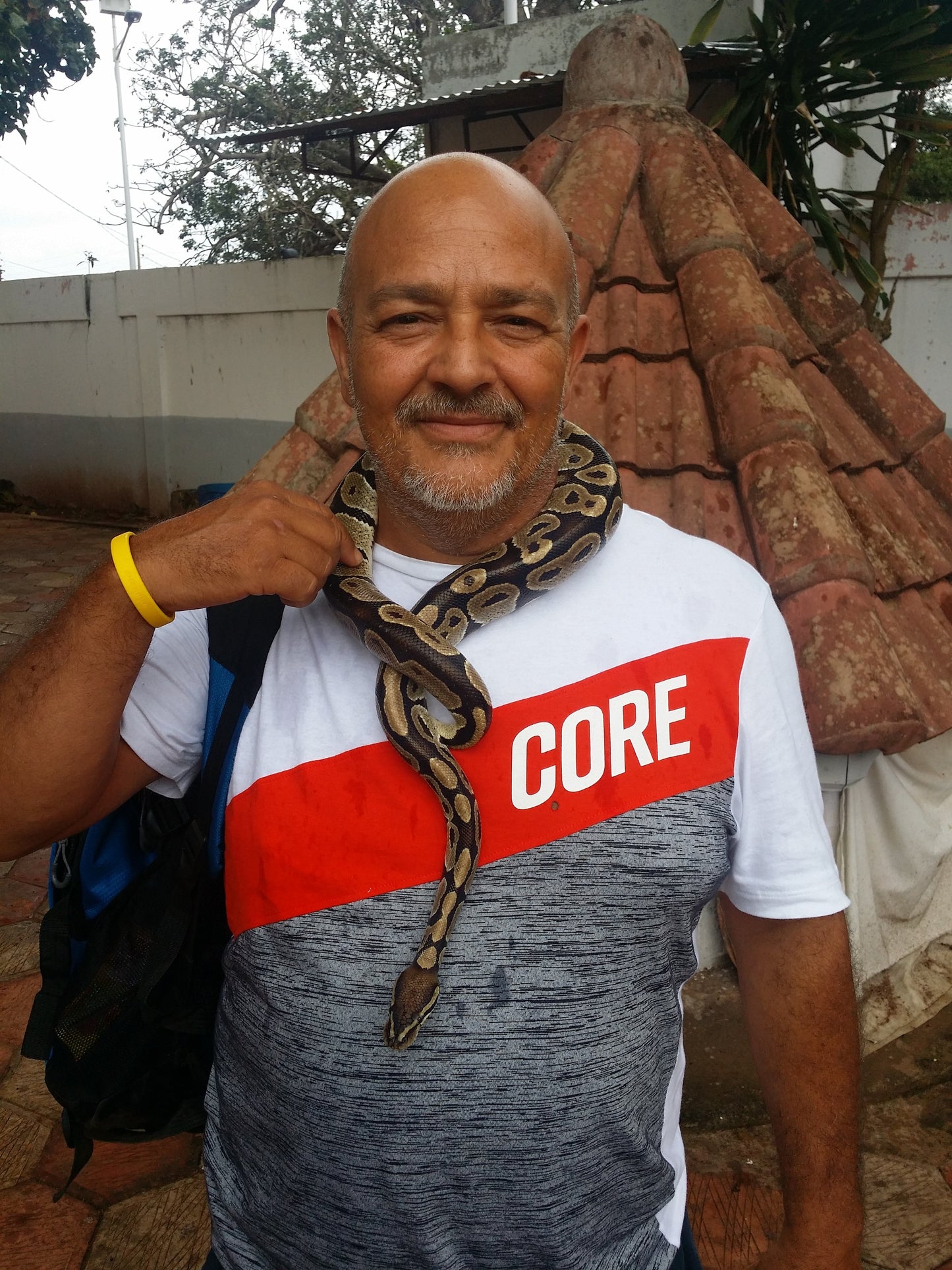 Amuleto serpiente Africano proteccion contra armas , cuchillos , peleas , Temlo de la pitón , secretos del vodun , arte tradicional africano