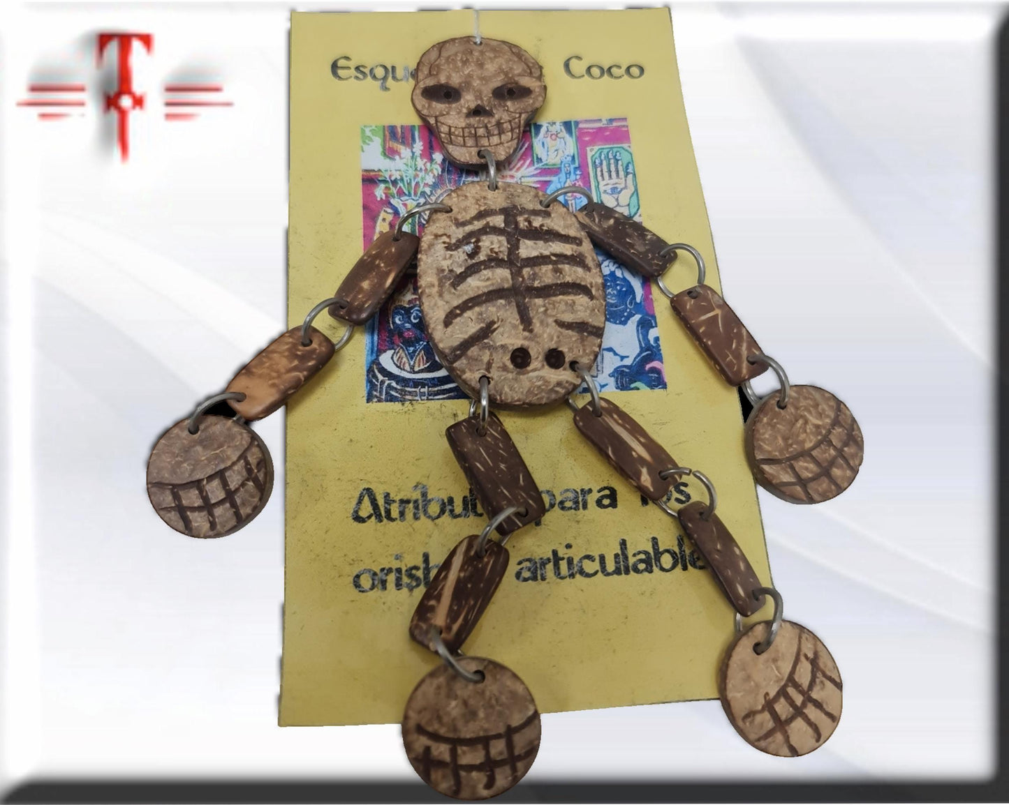 Esqueleto de Coco Oduduwa Ifá Santeria Palo Mayombe babalawo