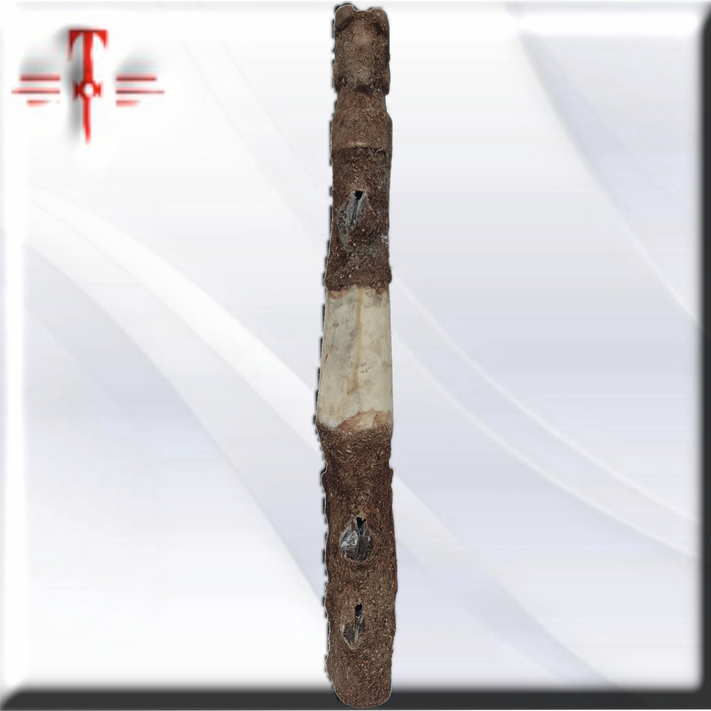 Cetro proteccion Hueso, amuleto africano , secretos del Vodun