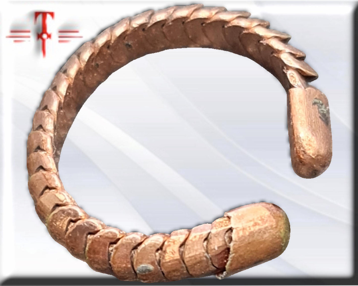 Anillo de protección y dinero , Vodun Adjakpa Koliko , espíritu del cocodrilo, Vodoun Fon de Benín