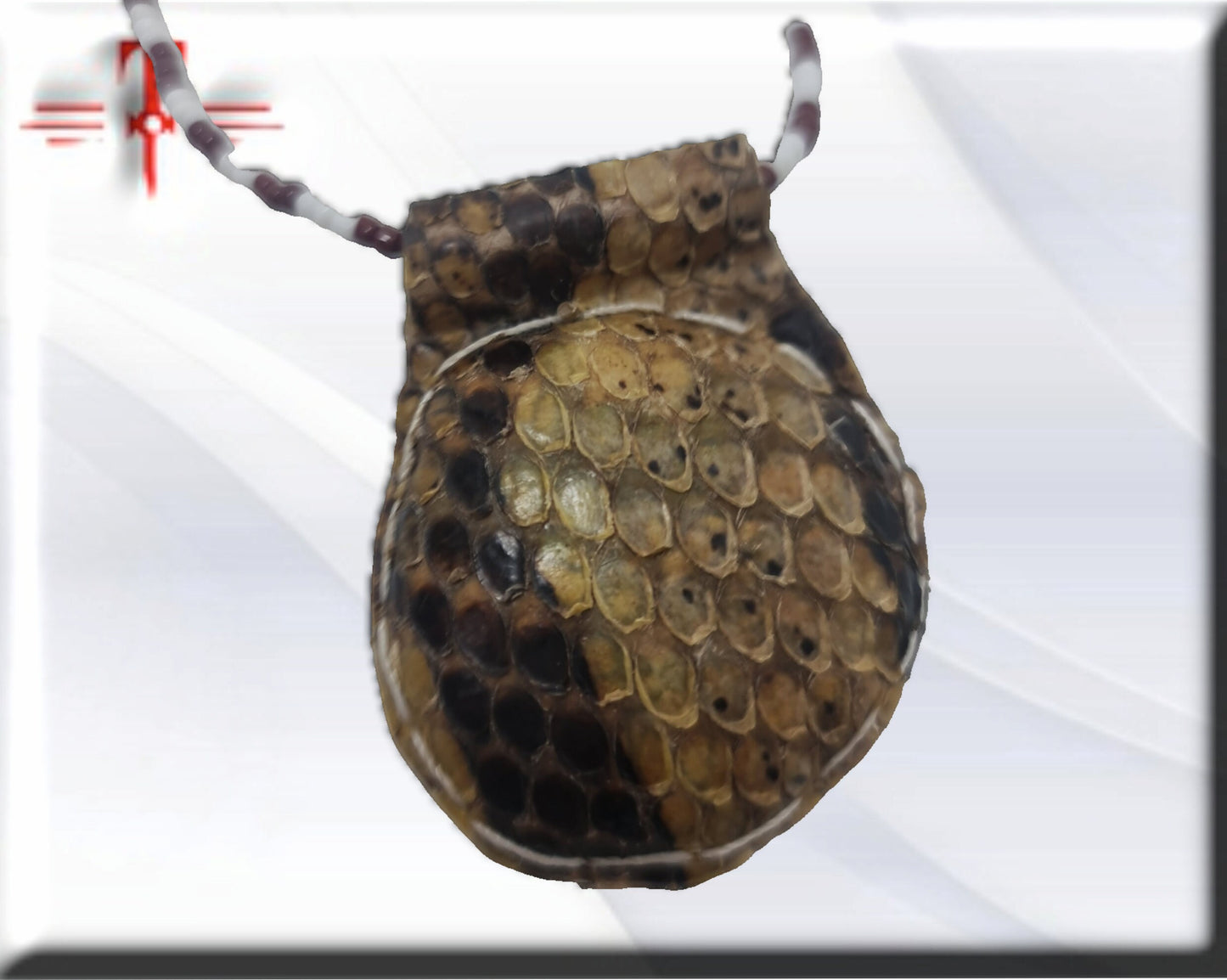 Amuleto serpiente Africano proteccion contra armas , cuchillos , peleas , Temlo de la pitón , secretos del vodun , arte tradicional africano