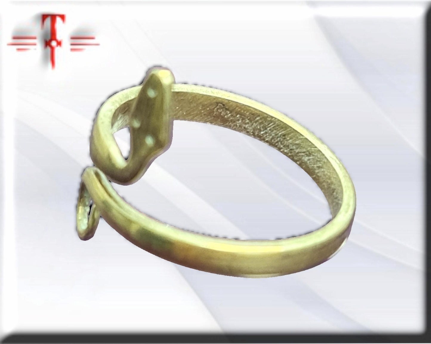 Anillo de protección , Vodun Akassel ,espíritu de la serpiente, Vodoun Fon de Benín