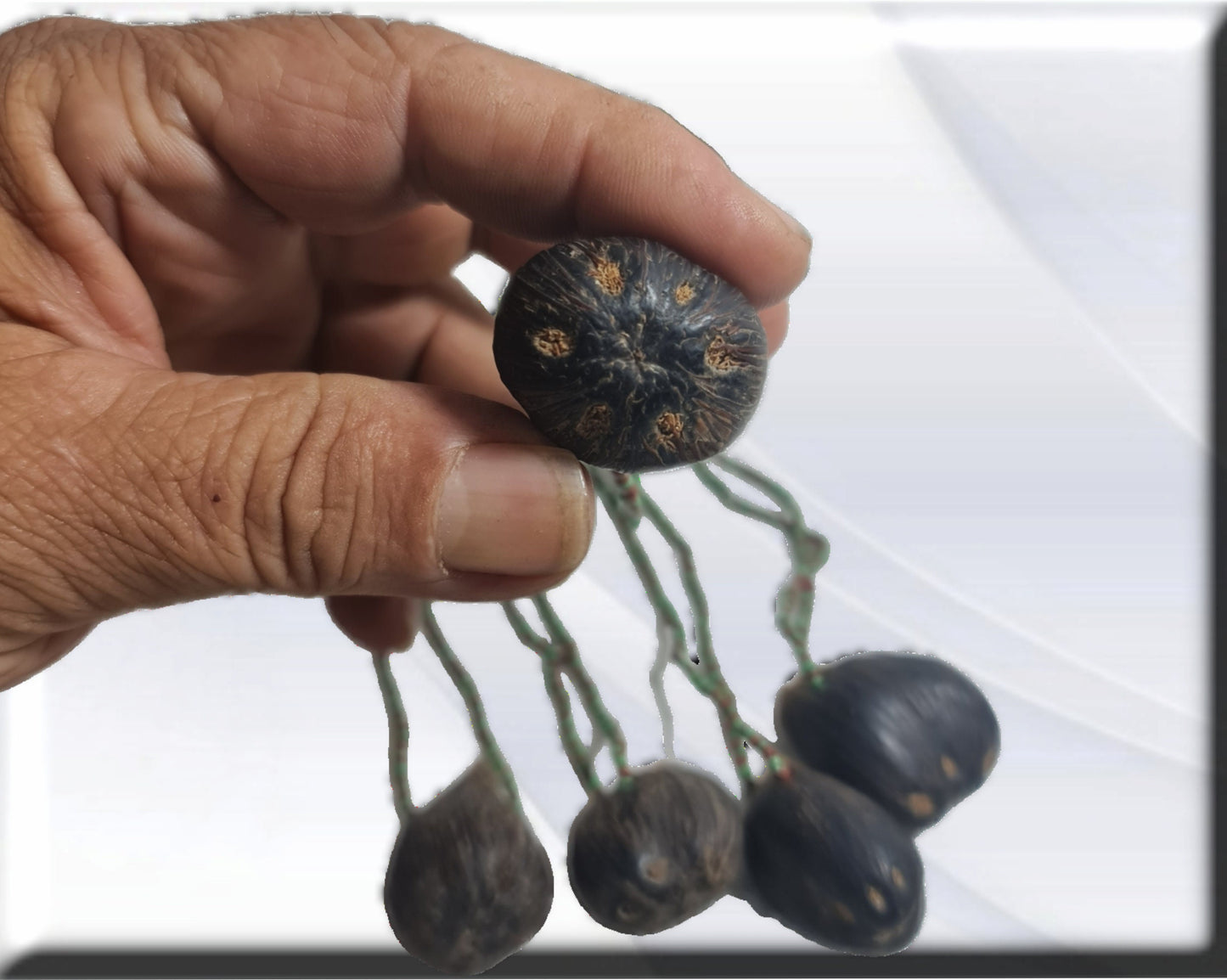Collar protección Ifá con Oduso Ikin 6 ojos ,colgante africano ritualizado
