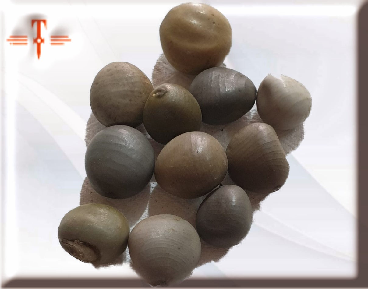 semilla Quitamaldicion