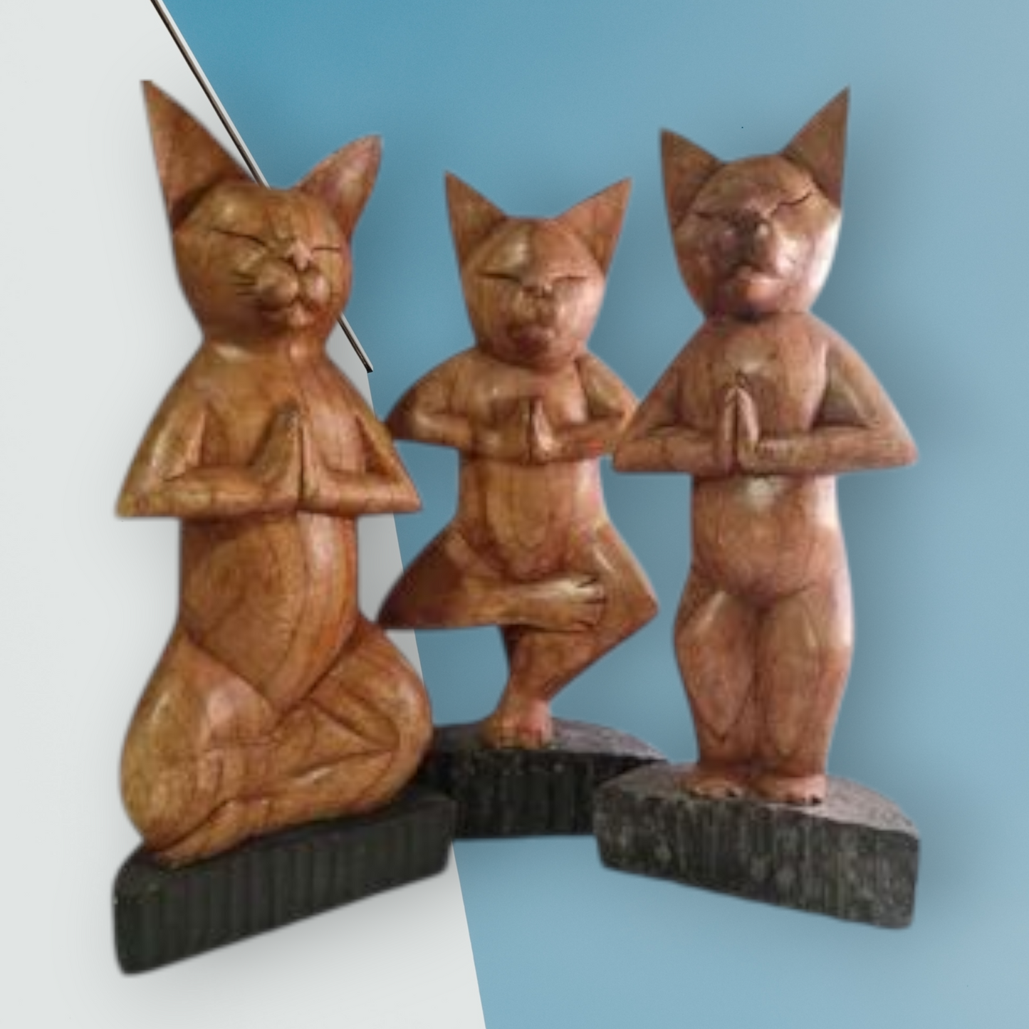 Trío de gatos de yoga