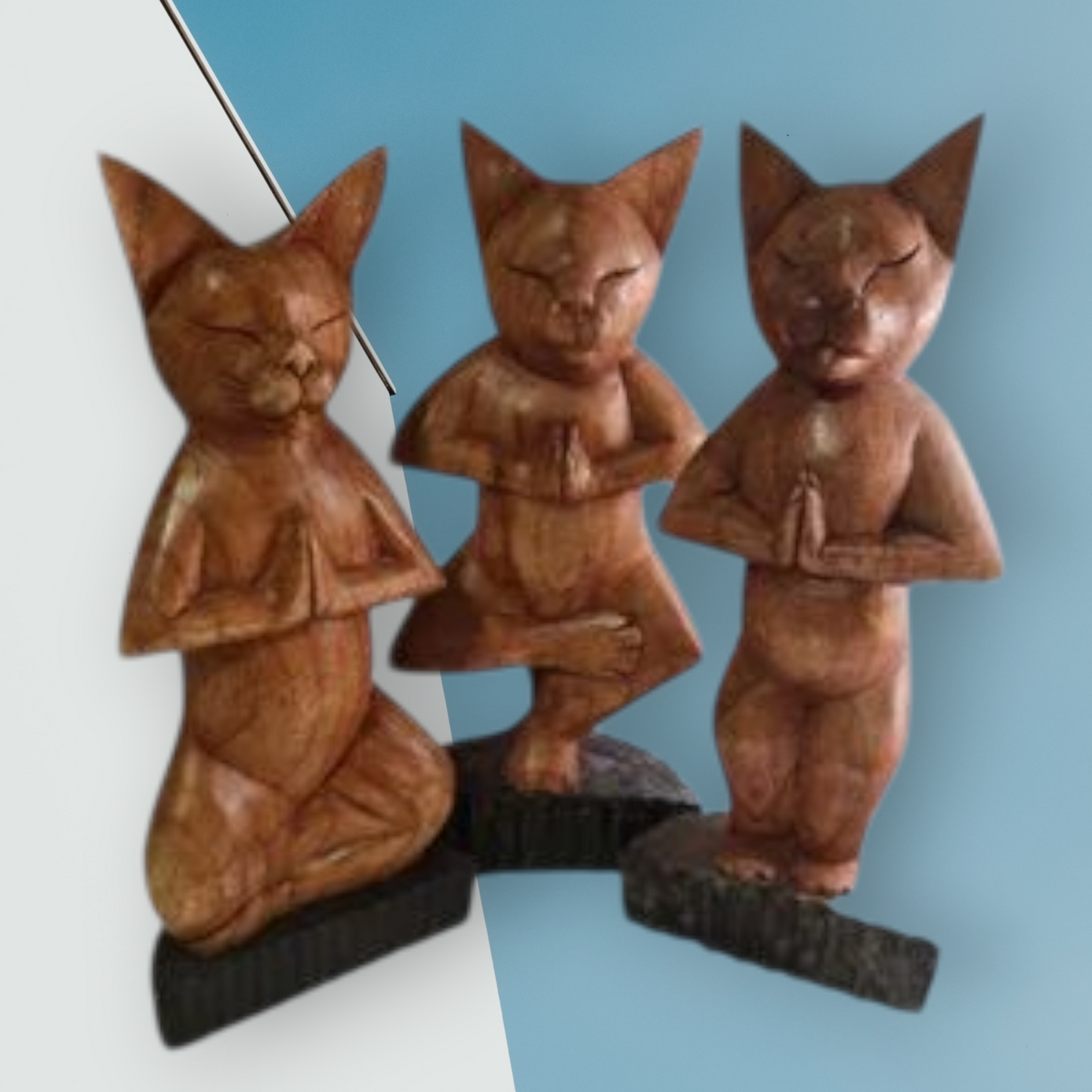 Trío de gatos de yoga