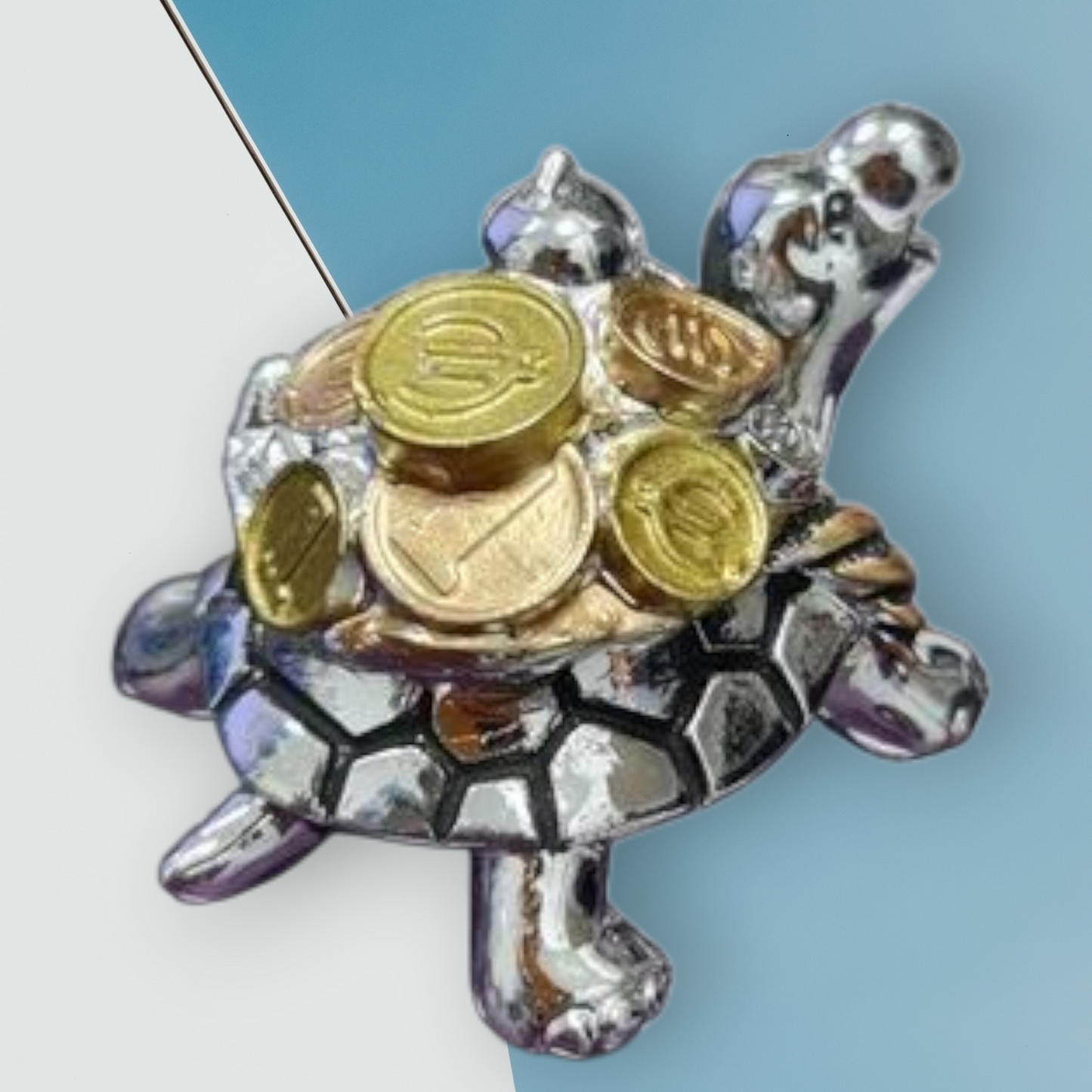 Tortuga de la fortuna