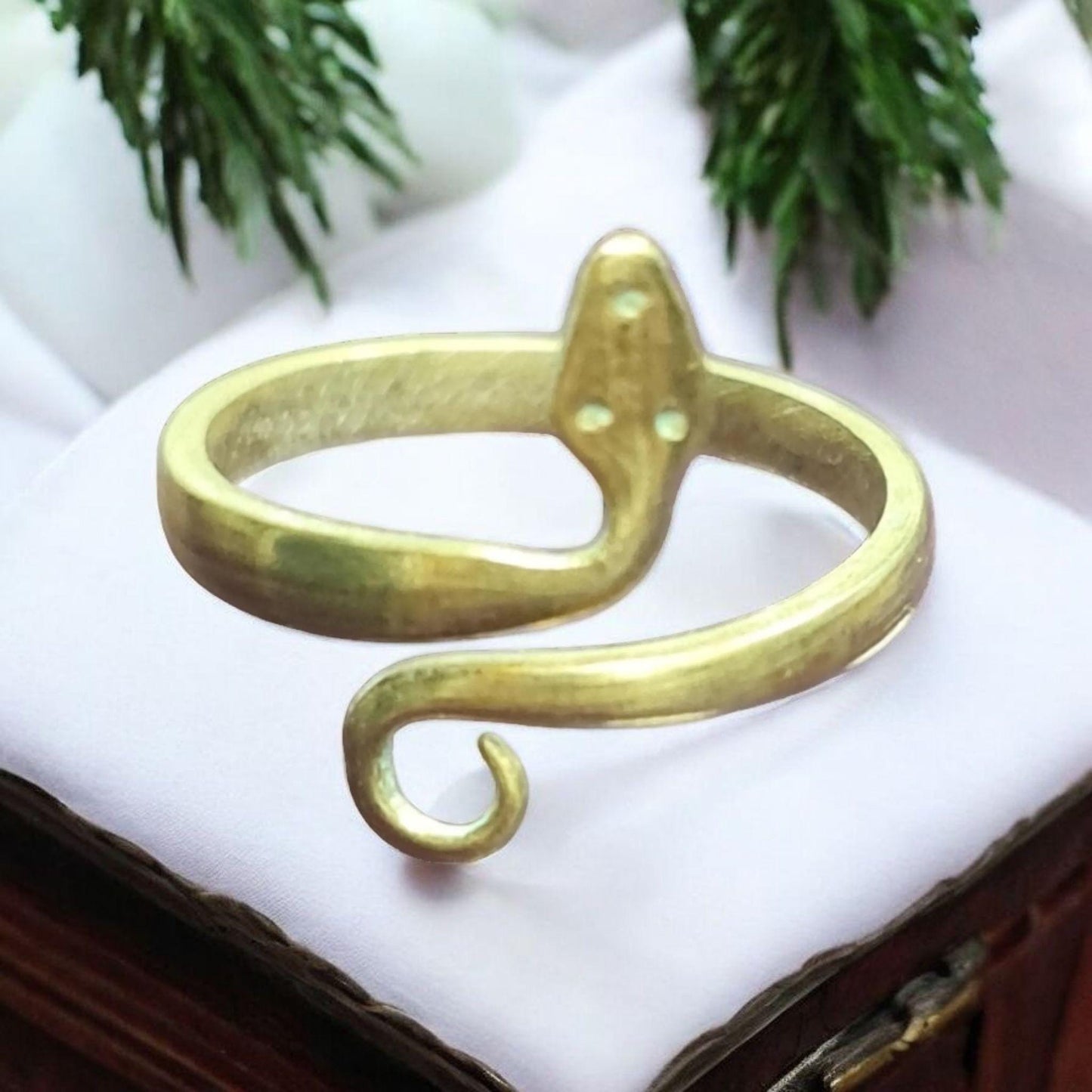Anillo de protección , Vodun Akassel ,espíritu de la serpiente, Vodoun Fon de Benín
