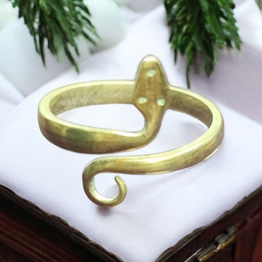 Anillo de protección , Vodun Akassel ,espíritu de la serpiente, Vodoun Fon de Benín