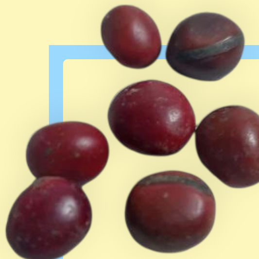 semilla mate rojo
