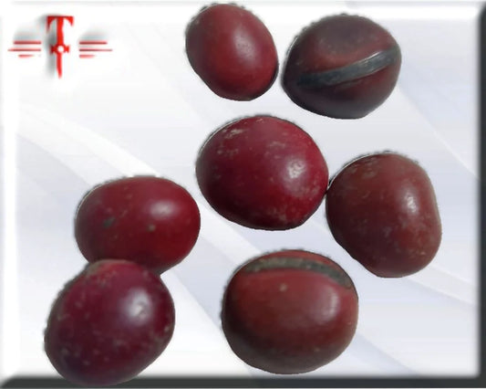 semilla mate rojo