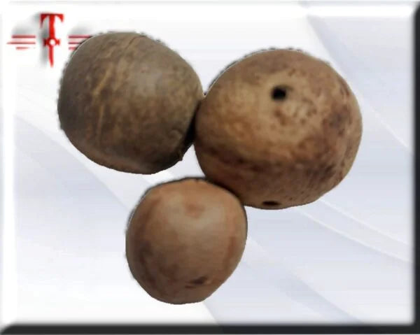 semilla de coco