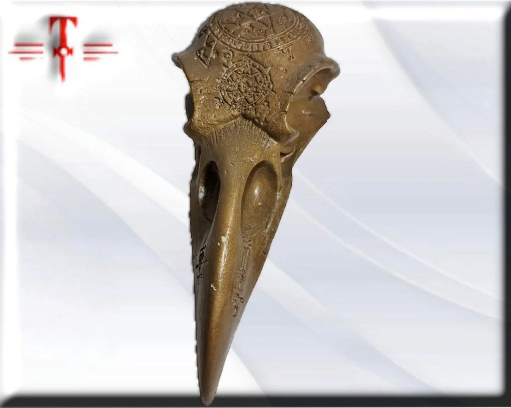Cráneo cuervo 16cm