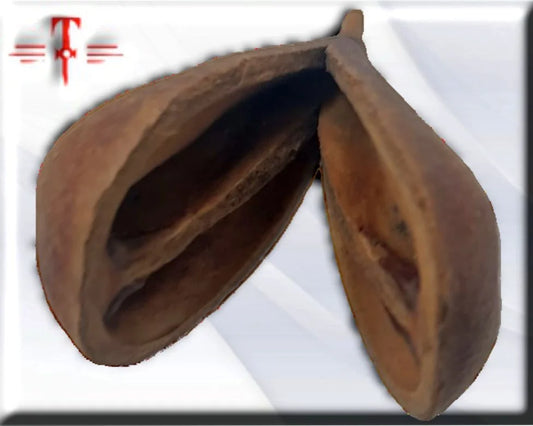 semilla Opele egbere