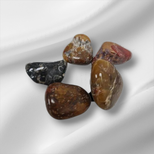 Jasper Conglomerado