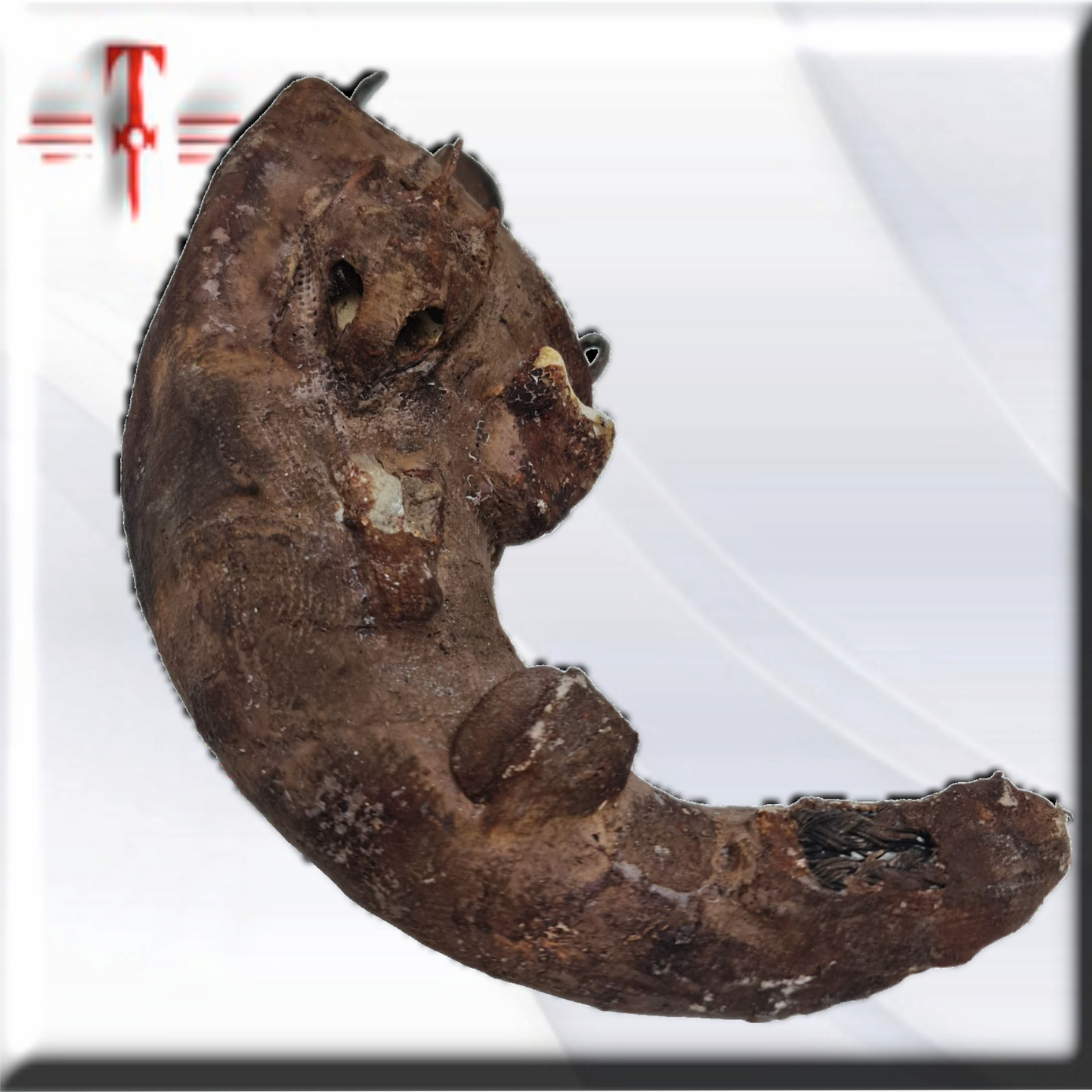 Olugbohun   , amuleto africano , secretos del Vodun