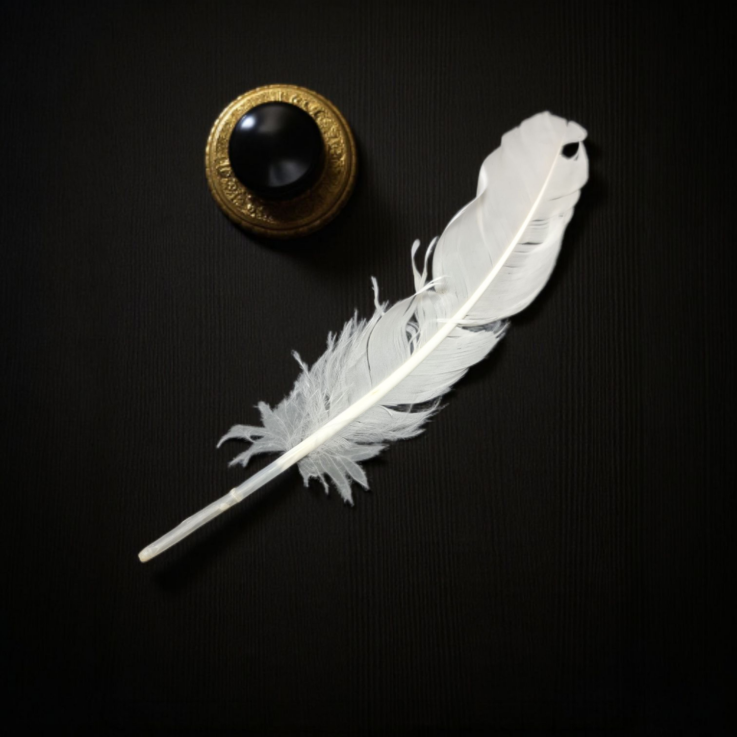 pluma Blanca