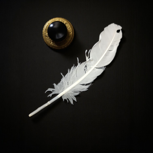 pluma Blanca
