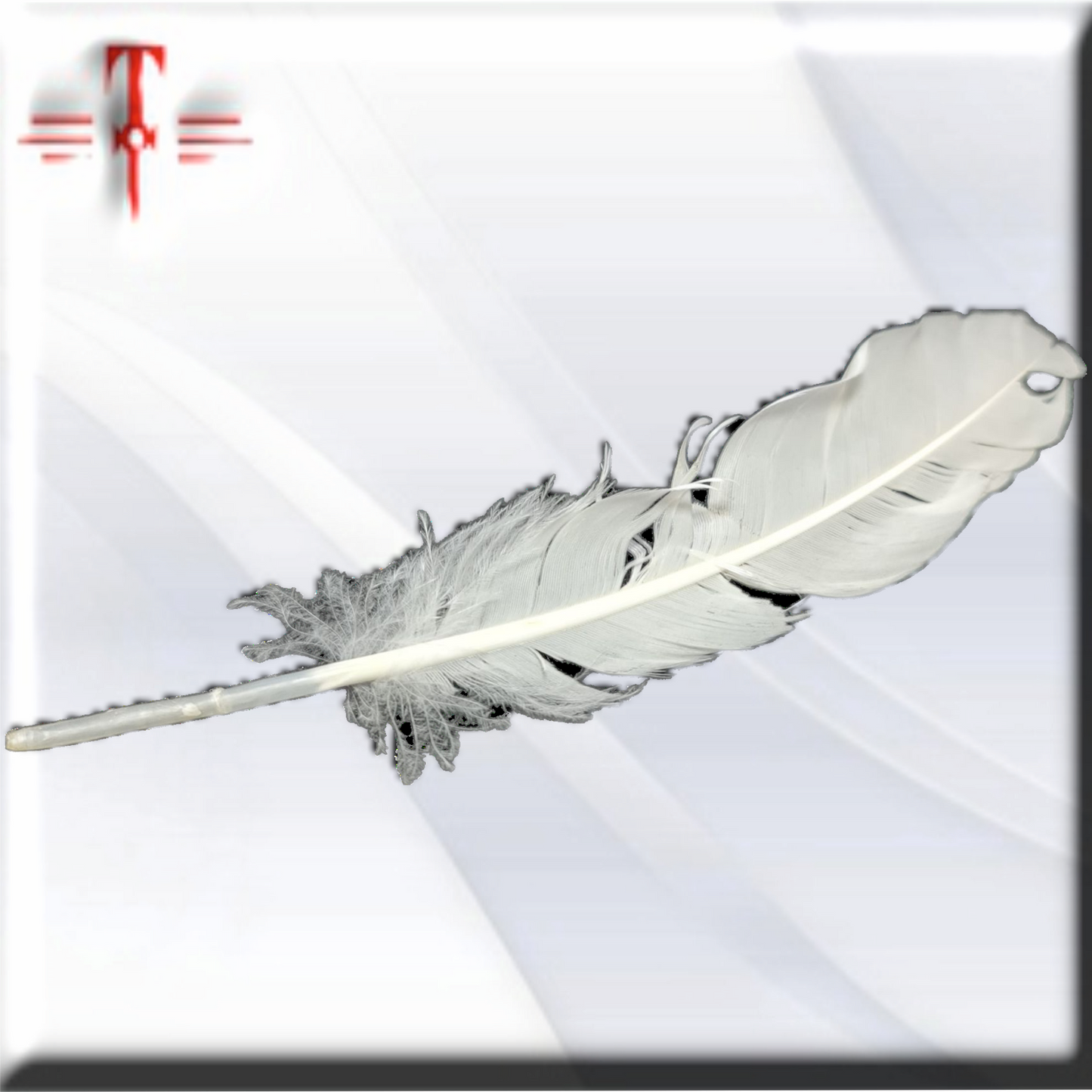 pluma Blanca