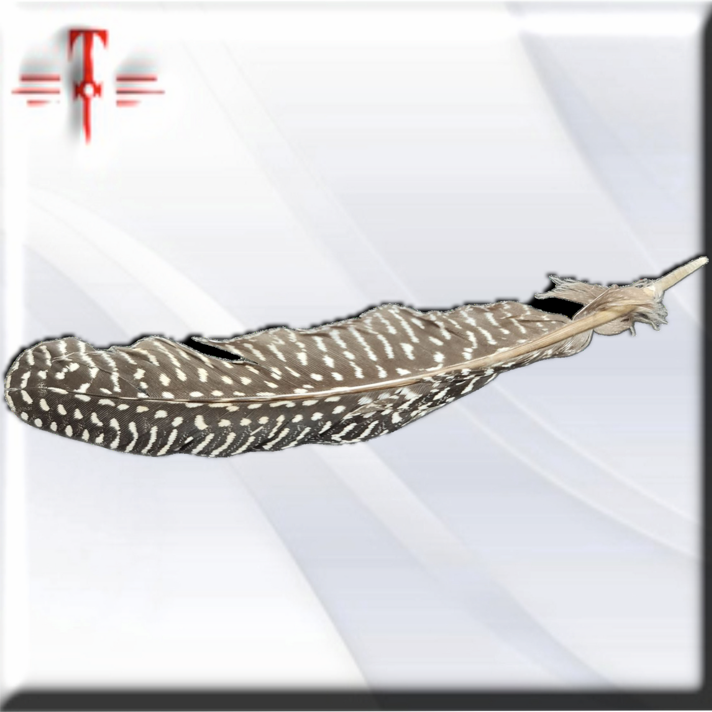 pluma Guineo