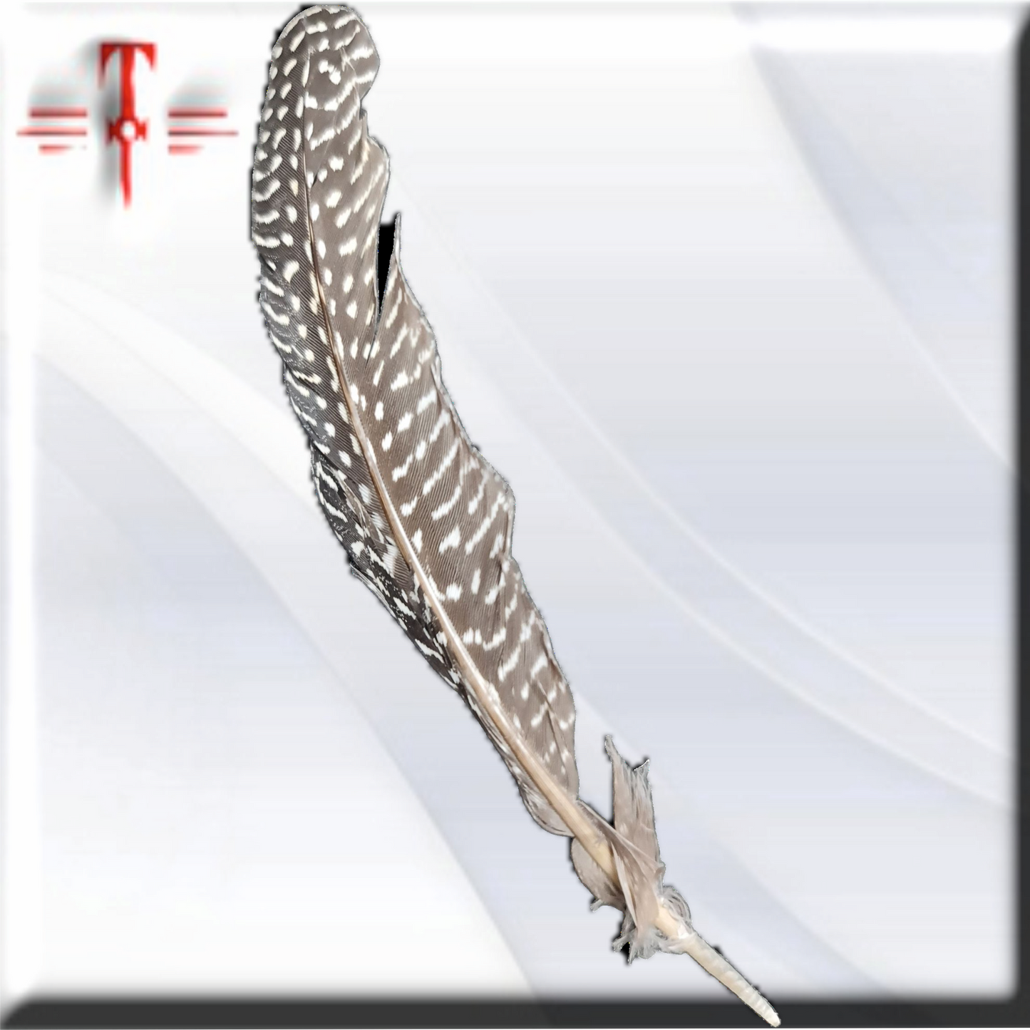 pluma Guineo