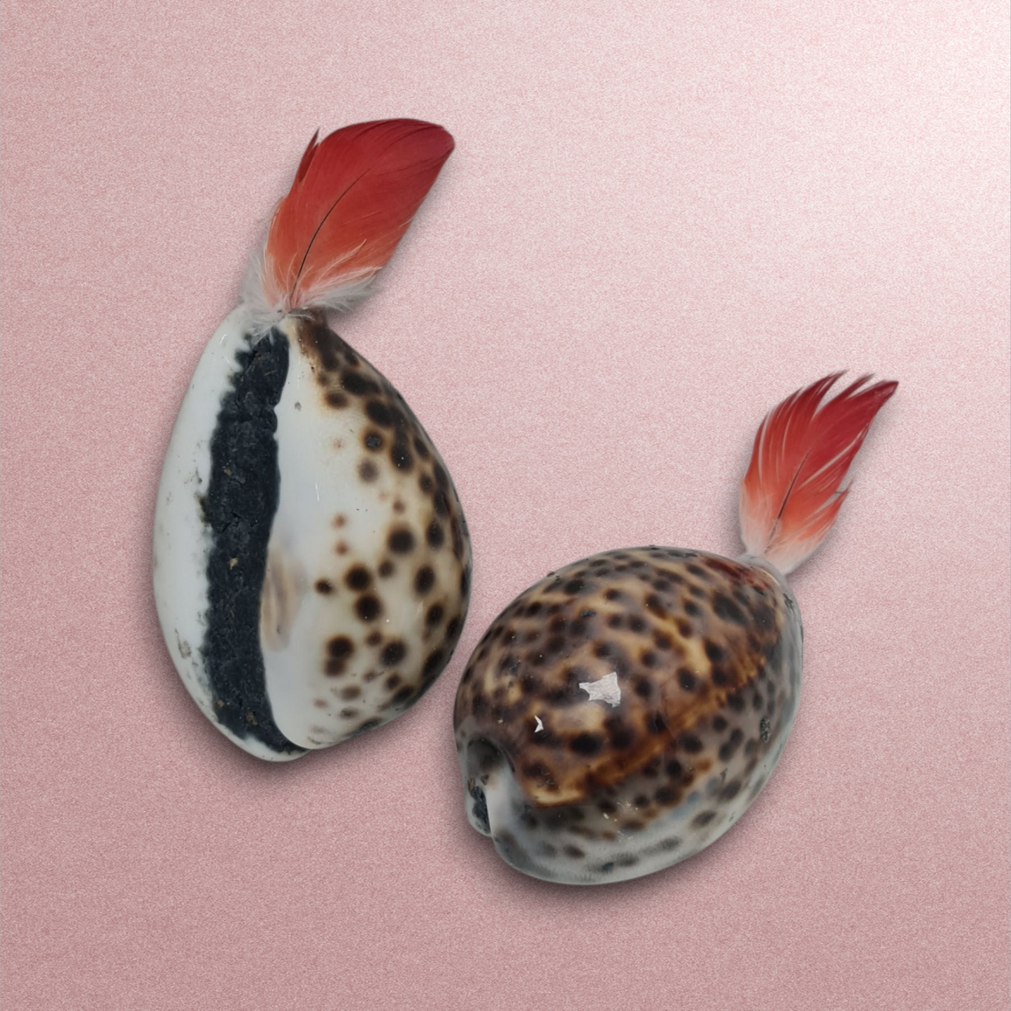 Amuleto Grande Africano Suerte Secretos del Vodoun Fon  de Bénin