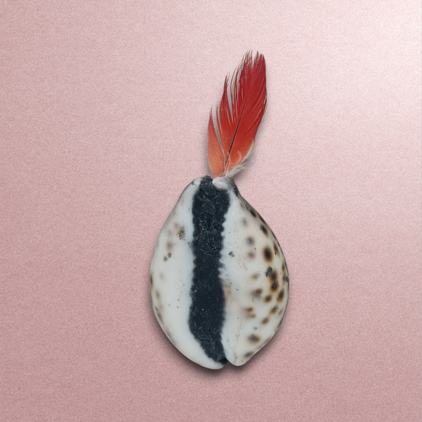 Amuleto Grande Africano Suerte Secretos del Vodoun Fon  de Bénin