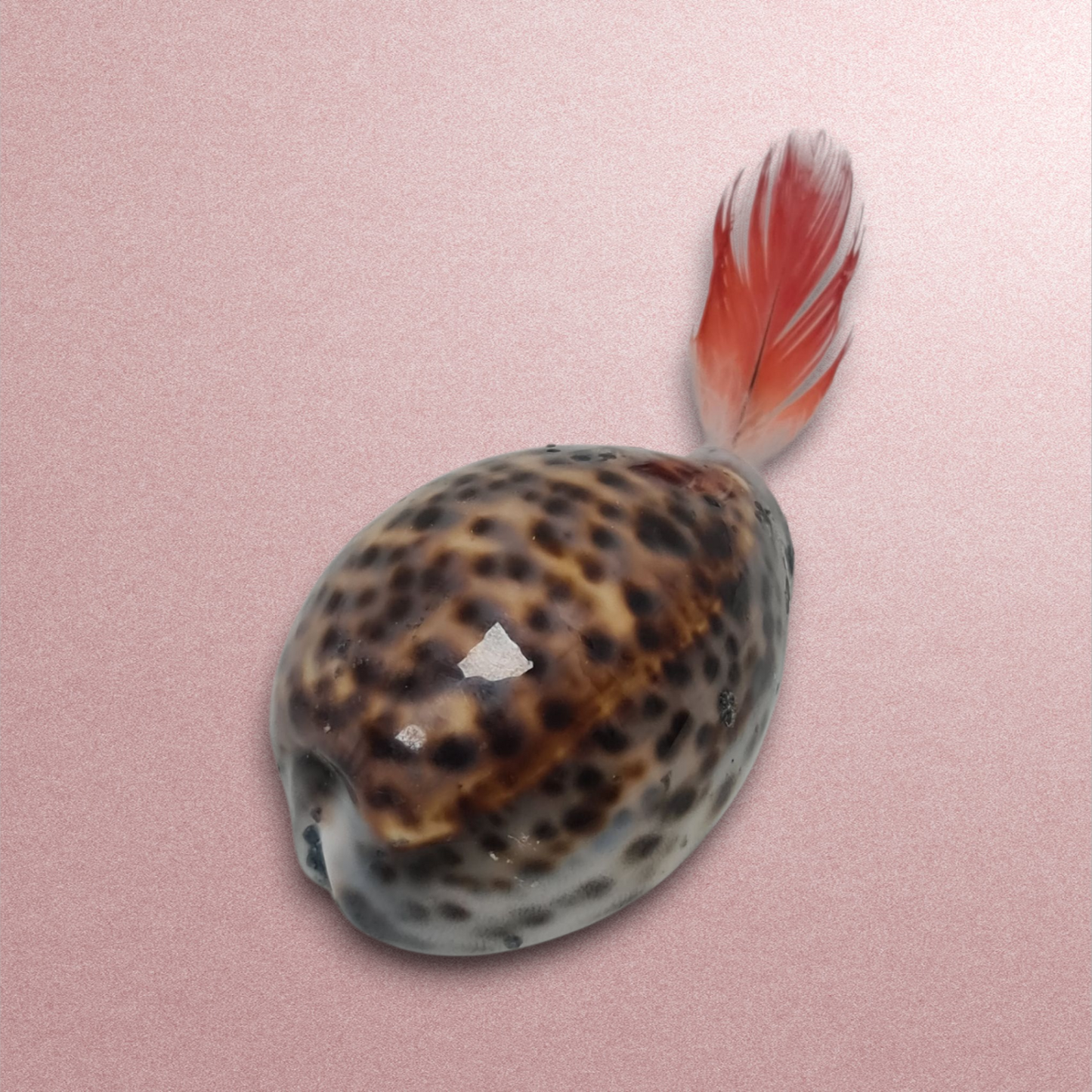 Amuleto Grande Africano Suerte Secretos del Vodoun Fon  de Bénin