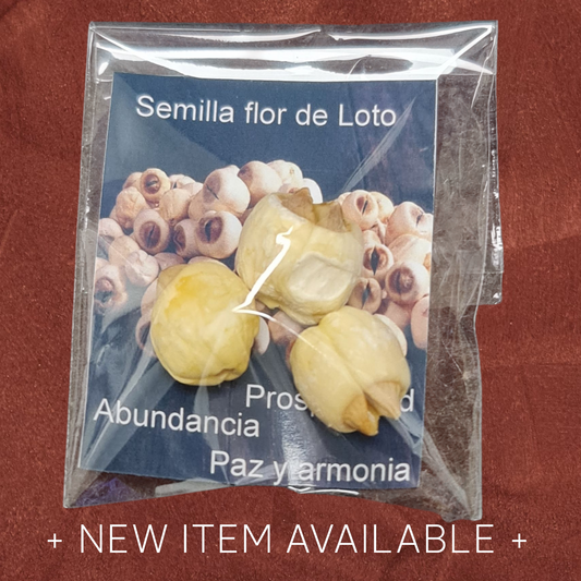 Semilla de Loto