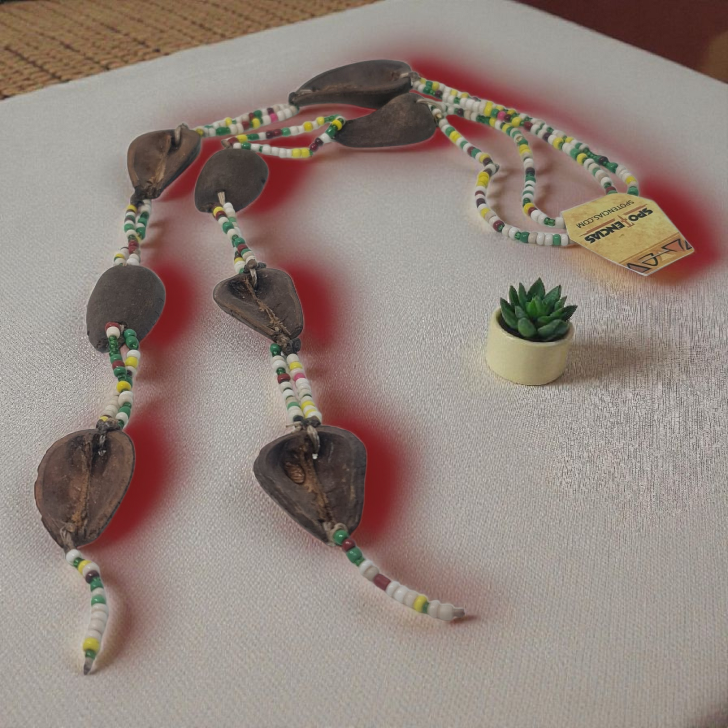Afrikanische Ekuele, Nigeria, Ifá-Samen, Opele Egbere. Santeria Babalawo, Osain