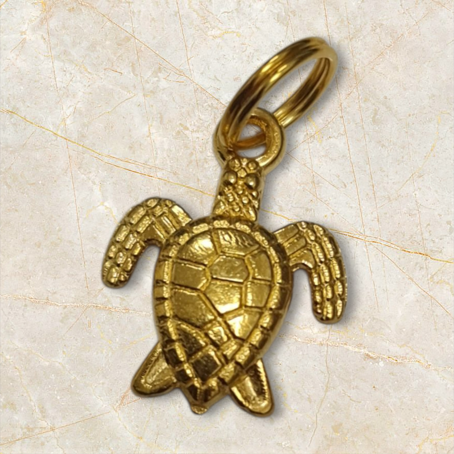 colgante amuleto Tortuga de la larga vida