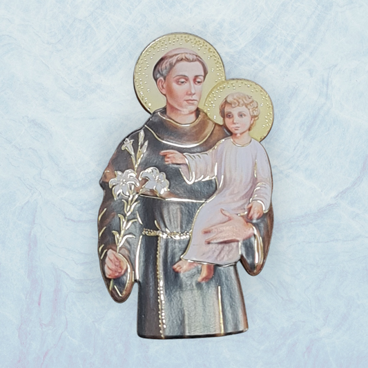 Placa magnetica San Antonio